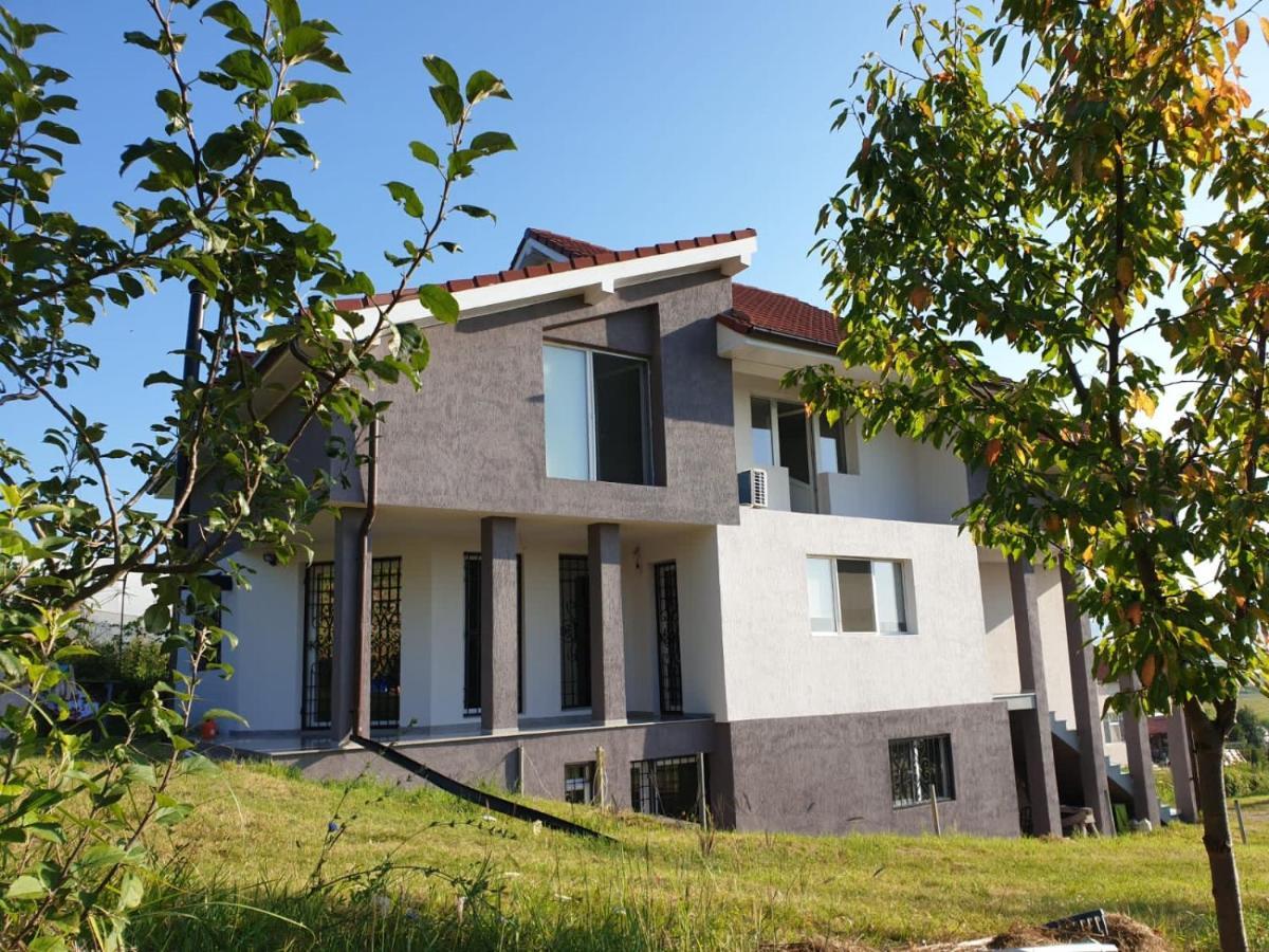 Lidia House Apartment Alba Iulia Ngoại thất bức ảnh