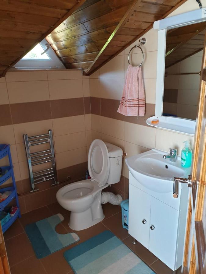 Lidia House Apartment Alba Iulia Ngoại thất bức ảnh